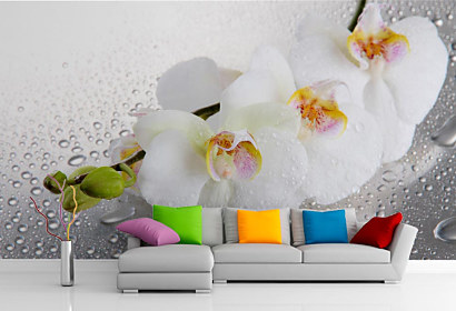 Fototapeta Spa orchidea 1536